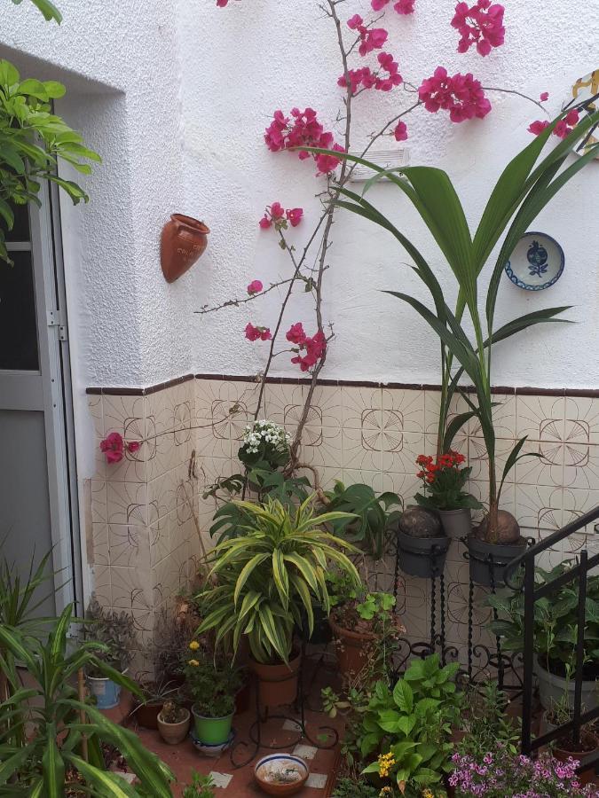 The Jasmine House Hotel Olvera Ngoại thất bức ảnh